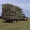 load of hay